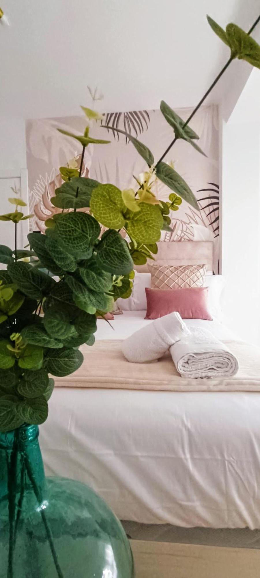 Apartamento Centro Ancha De Gracia غرناطة المظهر الخارجي الصورة